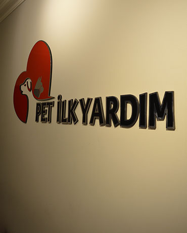 bursa ilkyardım